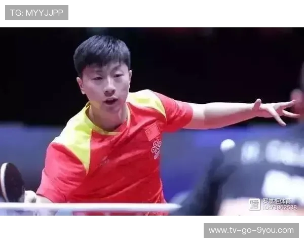 上海乒乓球队的速度之道探讨与训练方法的深度分析