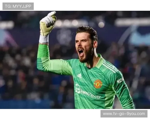 传奇门神吉安路易吉布冯辉煌守门生涯与永不言弃的足球精神